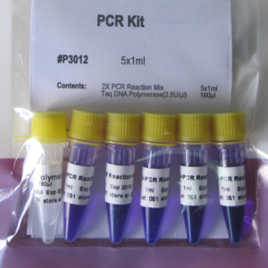 Kit PCR (P1041)