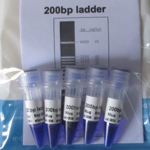 Ladder de 200pb (M3011,M3012)