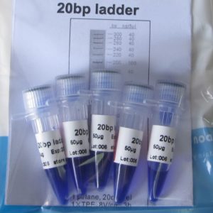 Ladder de 20pb (M3031,M3032)
