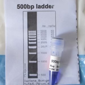 Ladder de 500pb (M3021,M3022)