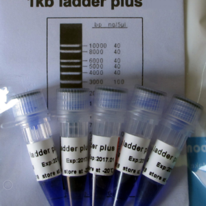 Ladder de 1kb plus (M2071,M2072)