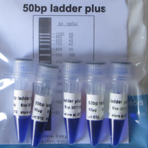 Ladder de 50pb plus (M2051,M2052)