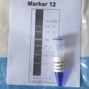 Marker 12 (M4061, M4062)