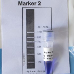 Marker 2 (M4011,M4012)