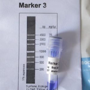 Marker 3 (M4021,M4022)