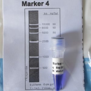 Marker 4 (M4031,M4032)