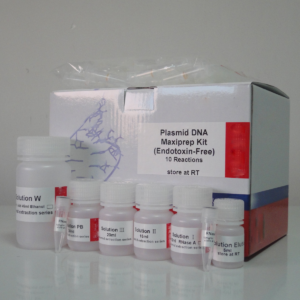 Maxiprep para plásmidos de alta pureza libre de endotoxinas (D1071)