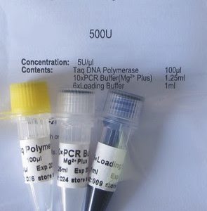 TAQ Polimerasa (P1011,P1012,P1013,P1014)