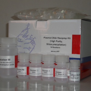 Maxiprep para plásmidos de alta pureza por columna de sílice (D1051)