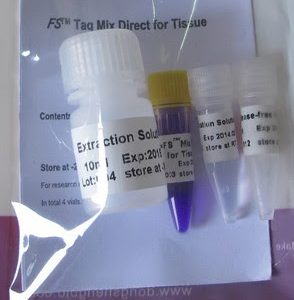 FS Taq Mix para Tejidos(2x) (P3081, P4011)