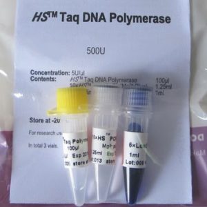 ADN Polimerasa Taq HS (P2041 P2042)