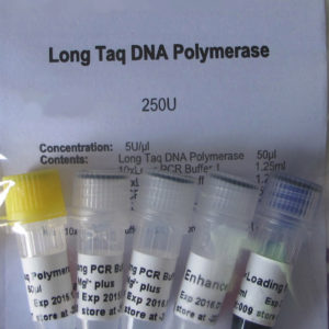 Long Taq DNA Polymerase (P2081, P2082, P2083, P2084)