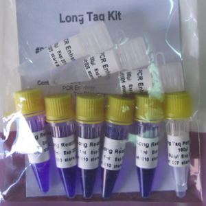 Long Taq Kit (P3011)
