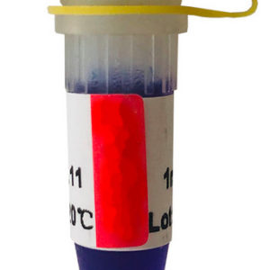 OptimusTM Hotstart Taq DNA Polymerase (P1021, P1022)