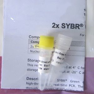 Green Fluorescent qPCR Mix (P1061, P1062)