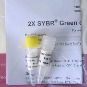 Green Fluorescent qPCR Mix (Low ROX Level) (P4021, P4022)