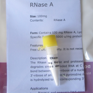 RNase A (Polvo Liofilizado) (D3111,D3112)