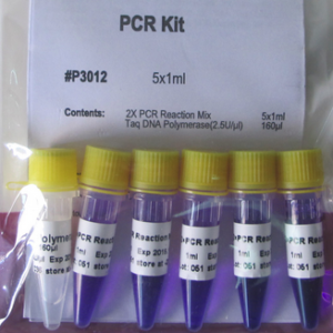 Kit PCR (P1041)