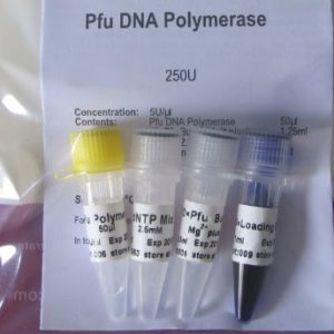 ADN Polimerasa Pfu (P1081,P1082,P1083,P1084)