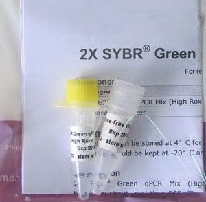 Green Fluorescent qPCR Mix (High ROX Level) (P4031, P4032)