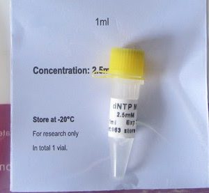 dNTP Mix (10mM) (P5061, P5062)