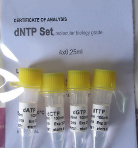 dNTP set (100mM) (P5081)