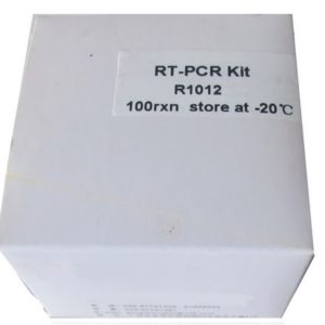 Kit RT-PCR (P4051, P4052)