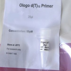 Cebadores Oligo d(T)15  (P4061)