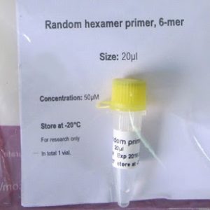 Random hexamer primer, 6-mer (P4071)