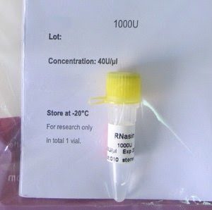 RNasin (inhibidor de ARNasa) (P4091)