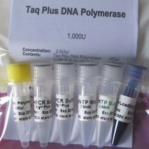 ADN Polimerasa Taq plus (P2021, P2022, P2023, P2024)