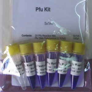 Pfu Kit (P2011)