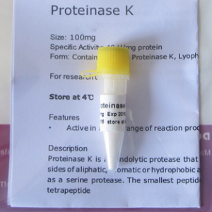 Proteinasa K (Polvo Liofilizado) (D2092,D2093)